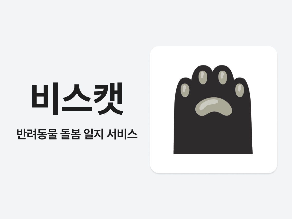 비스캣 스크린샷 1