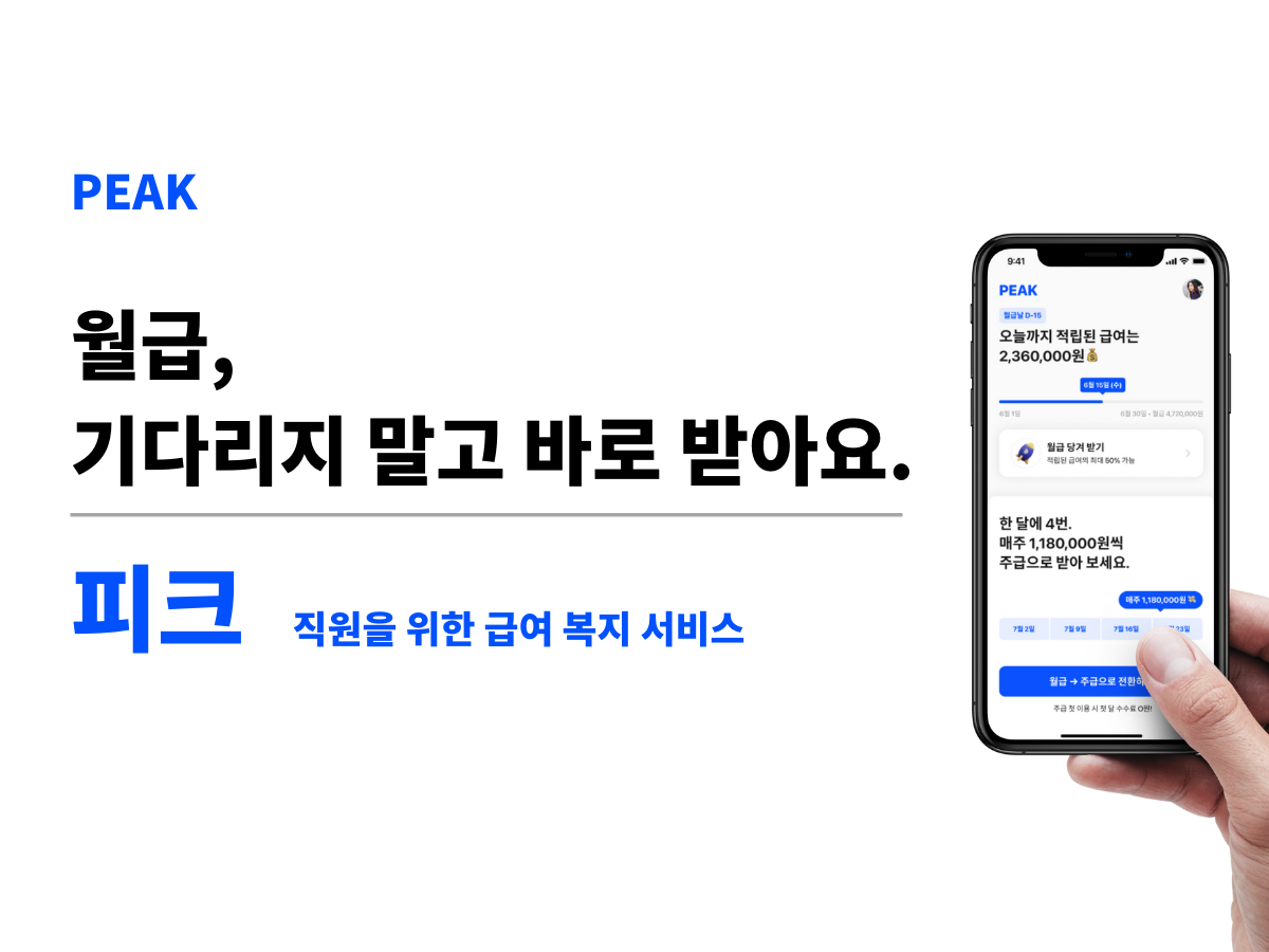 피크 스크린샷 1