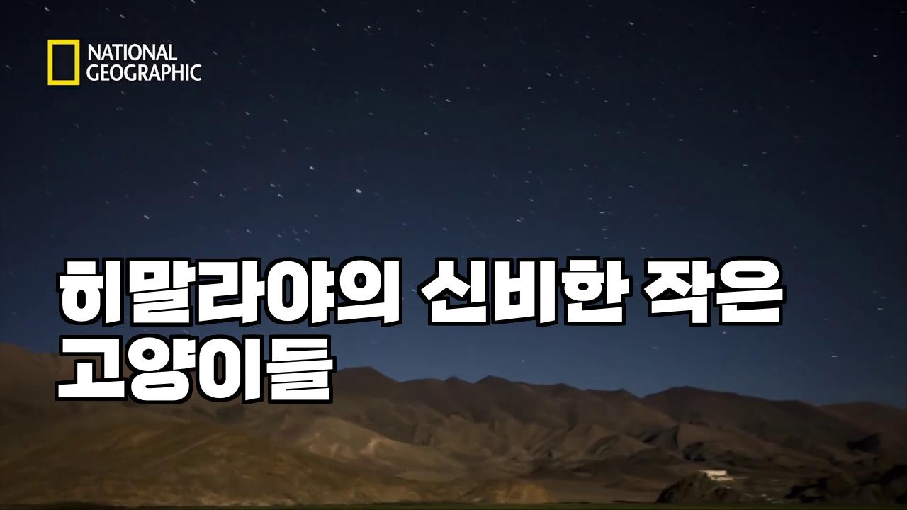 썸네일각 스크린샷 4