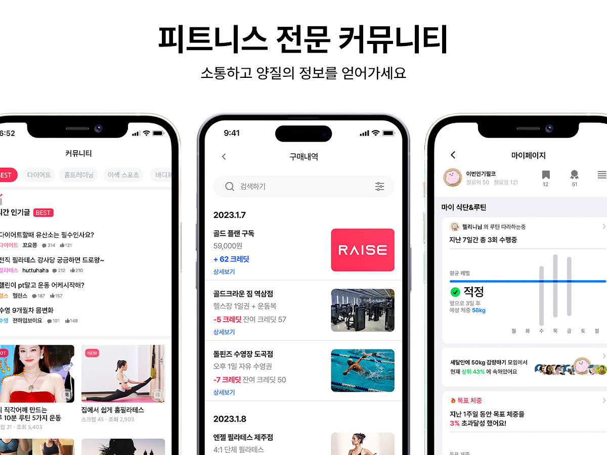 레이즈 스크린샷 4