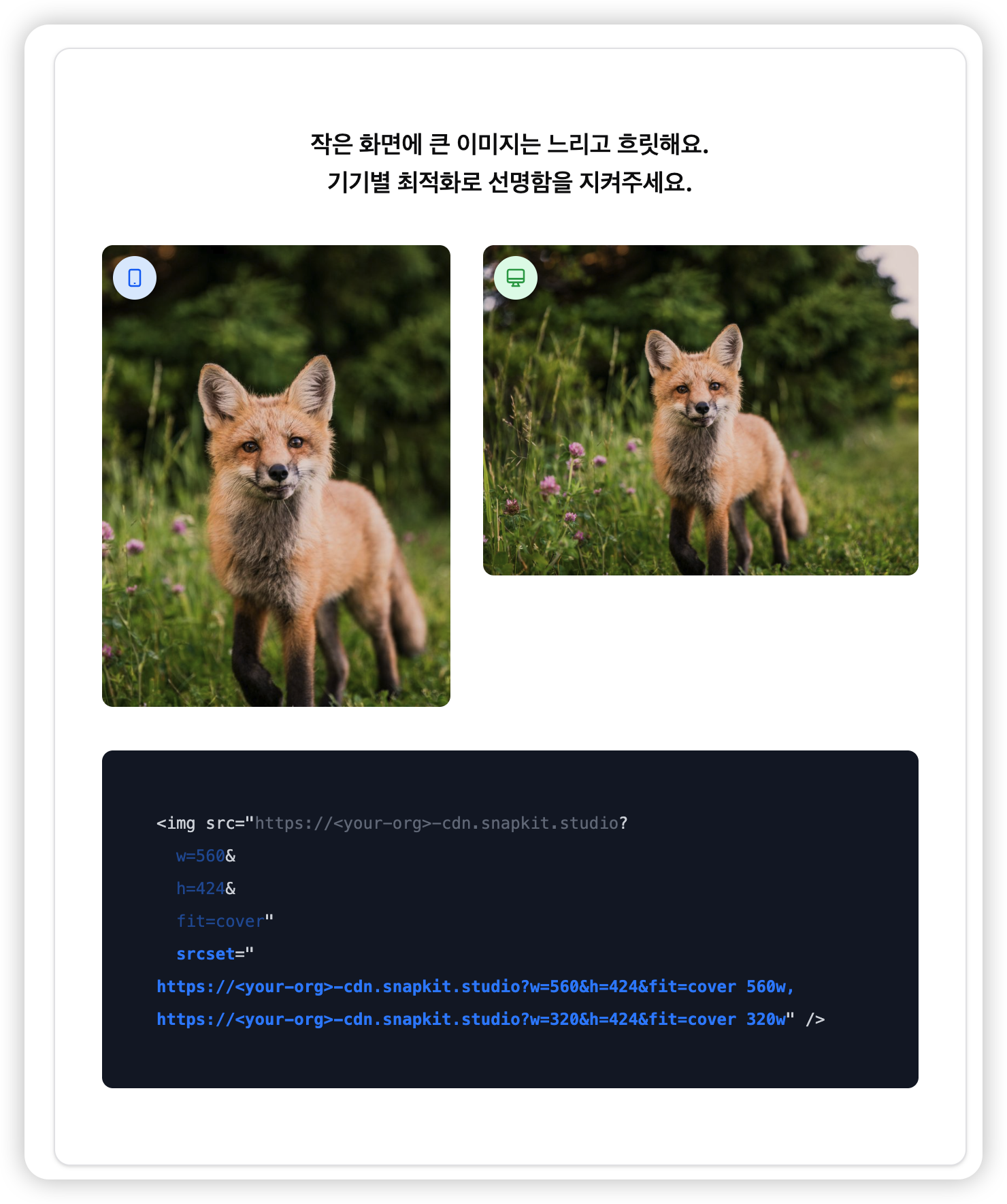 스냅킷 스크린샷 4
