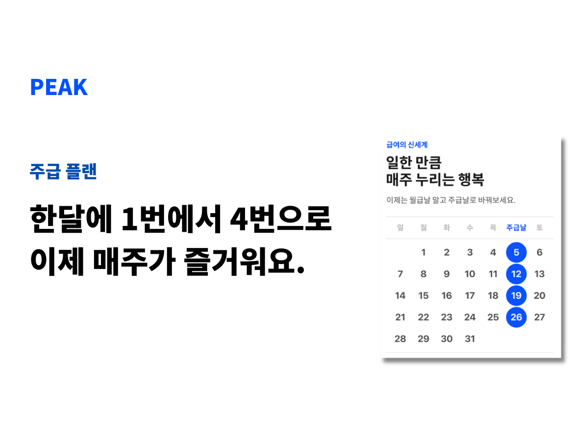 피크 스크린샷 3