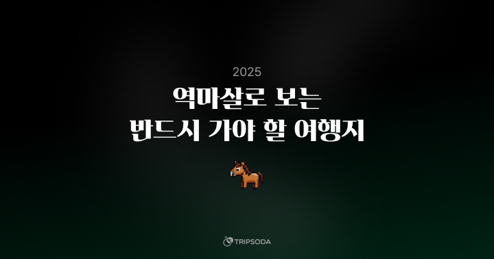 역마살 테스트 2025 스크린샷 1