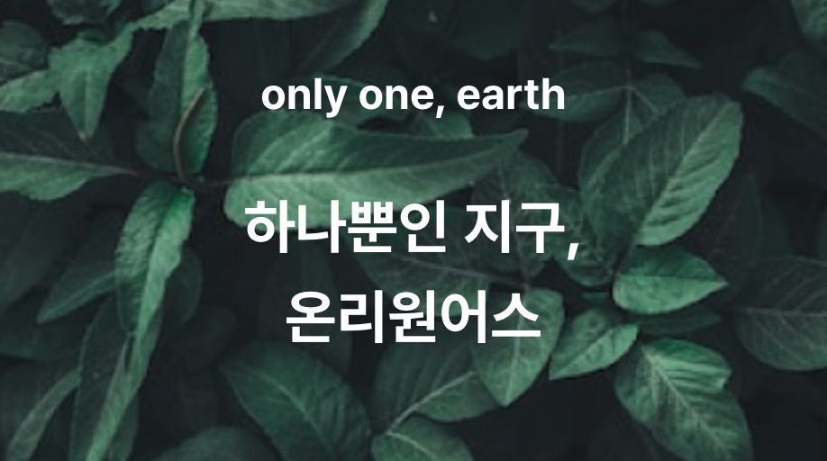 온리원어스 스크린샷 1