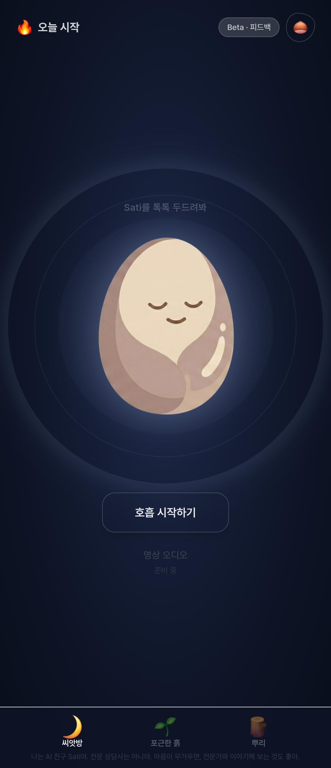 Satira 사티라 스크린샷 3