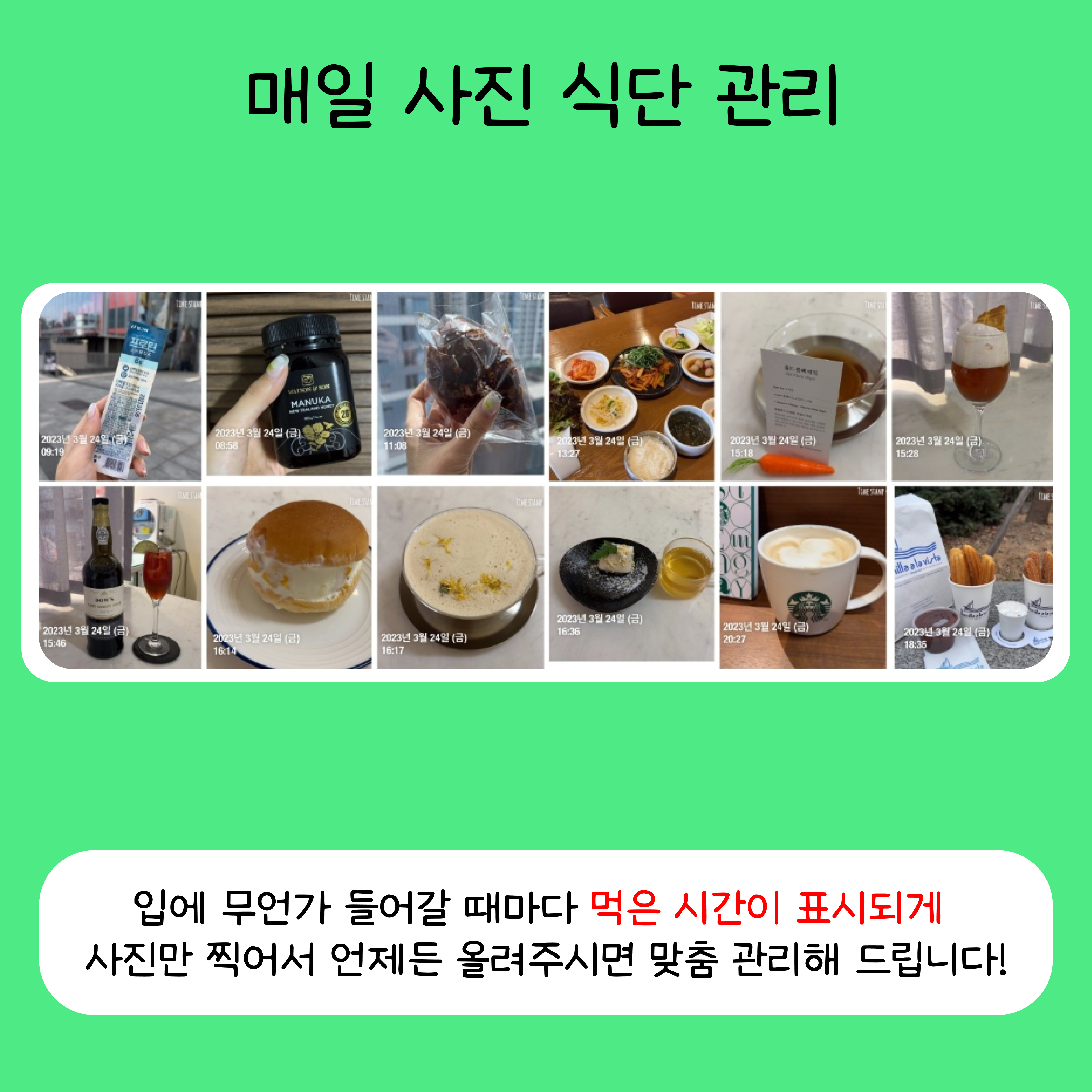 armadillo 스크린샷 3