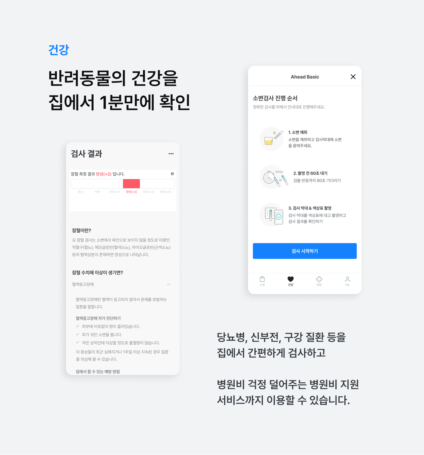 핏펫 스크린샷 3