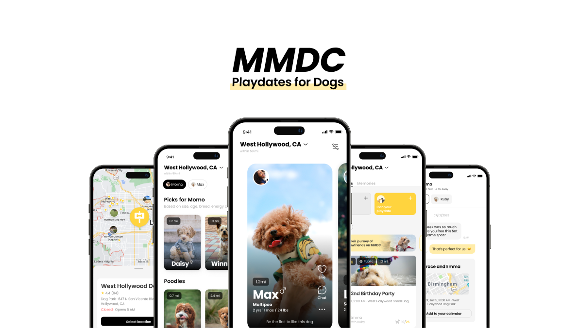 MMDC 스크린샷 2