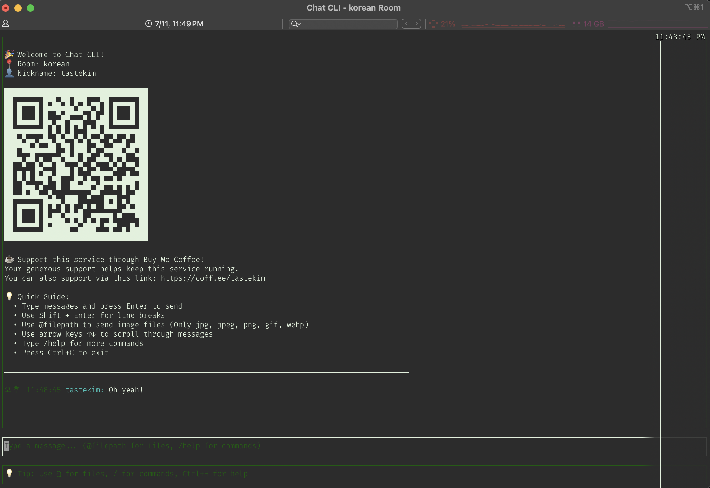 Chat CLI 스크린샷 1