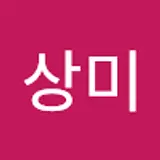 노상미
