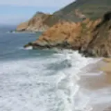 Michael Kim