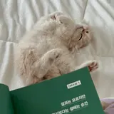 이연진