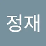 정정재
