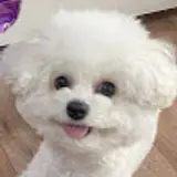 박민희