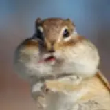 남경민