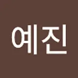 신예진
