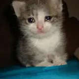 김희진