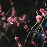 고민수