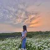 이기은