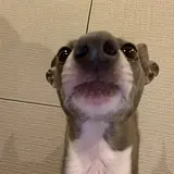 김지윤