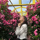 임다혜