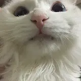 김세정