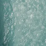 Swimmer