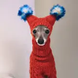 L챱챱
