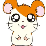 노현묵