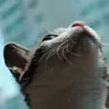 문준상