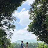 임정