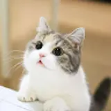 고재민