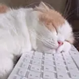 장정우