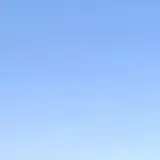 엄윤정