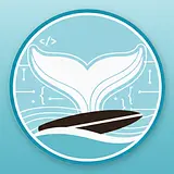 whale_tail
