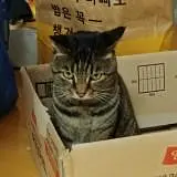 봉지수