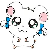 심정은