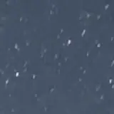 유상규