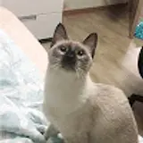김유민