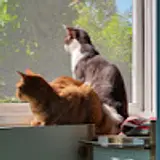 양태욱