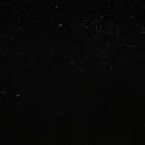 정유지