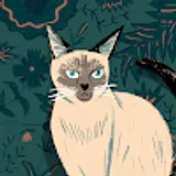 포티