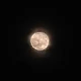 룡준