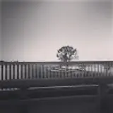 Sun Park
