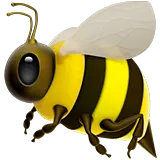 안상효