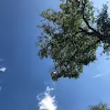 오준석