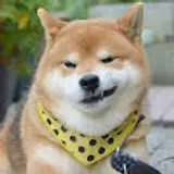 사암