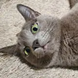 hyeppy