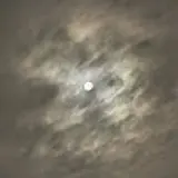이주선