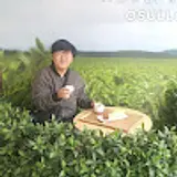 구성모